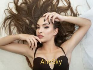 AneSky