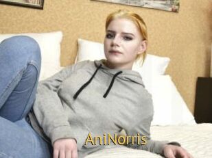 AniNorris