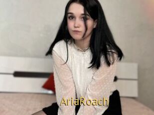 AriaRoach