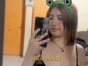 Aliceekitty