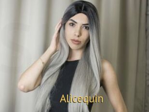 Alicequin