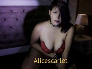 Alicescarlet