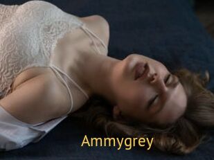 Ammygrey