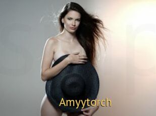 Amyytorch