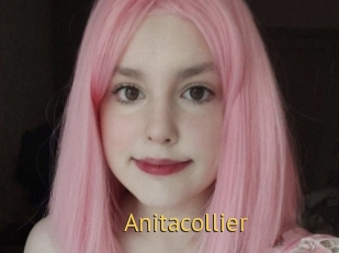 Anitacollier