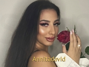 Annitadavid