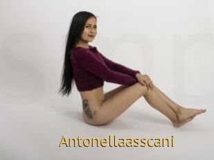 Antonellaasscani