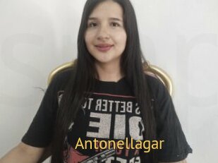 Antonellagar