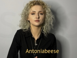 Antoniabeese