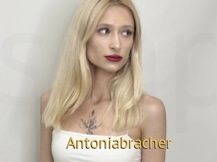 Antoniabracher