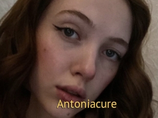 Antoniacure