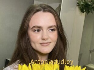 Antoniadudley