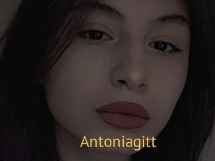 Antoniagitt