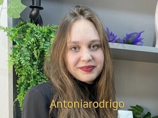 Antoniarodrigo