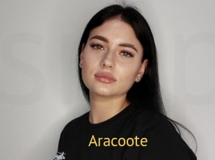 Aracoote