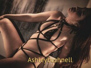 Ashleybushnell