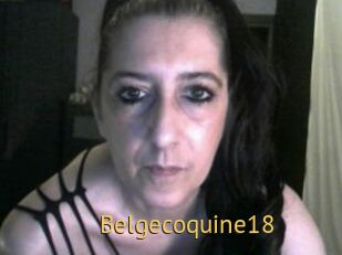 Belgecoquine18