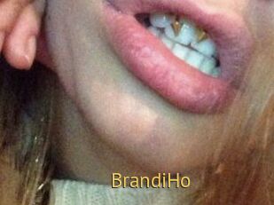 BrandiHo