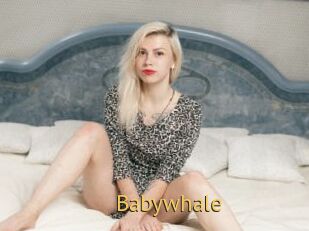 Babywhale