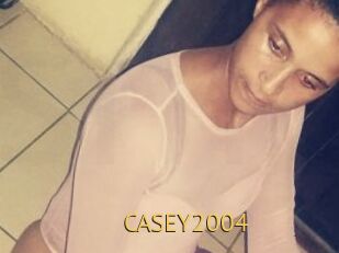 CASEY2004