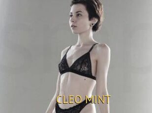 CLEO_MINT