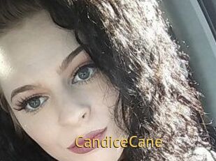 Candice_Cane