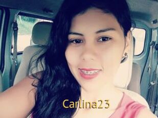 Carlina23