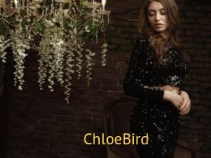 ChloeBird