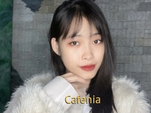 Cafenia