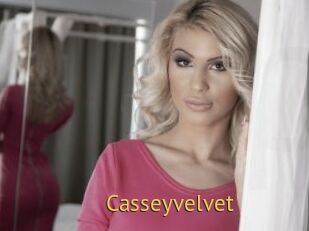 Casseyvelvet