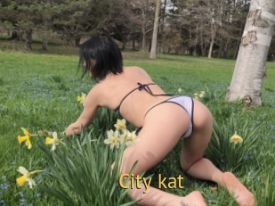City_kat