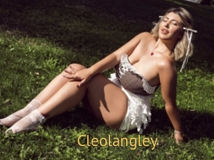 Cleolangley