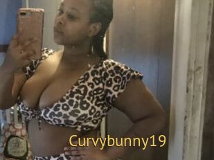 Curvybunny19