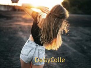 DaisyColle