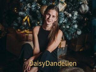 DaisyDandelion