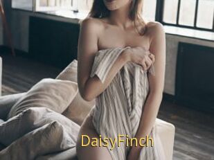 DaisyFinch