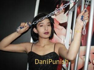 DaniPunish