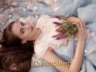 DreamSleep