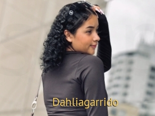 Dahliagarrido