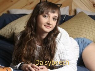 Daisybeech