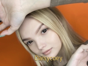 Daisycoey