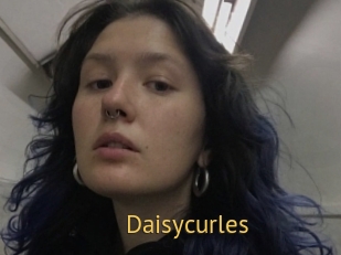 Daisycurles