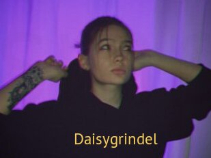 Daisygrindel