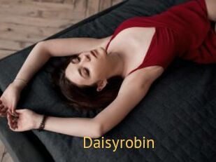 Daisyrobin