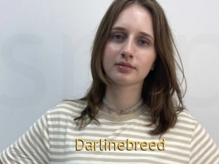 Darlinebreed