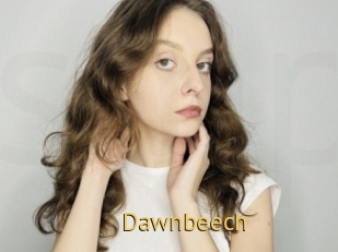 Dawnbeech