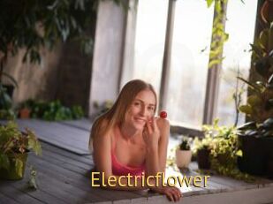 Electricflower