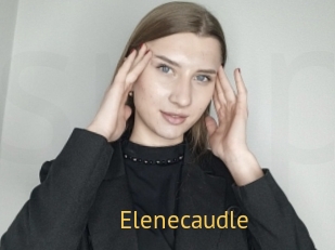 Elenecaudle