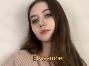 Elviaamber