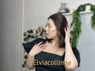 Elviacollinge